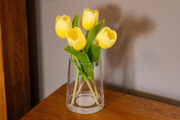 Photo 24