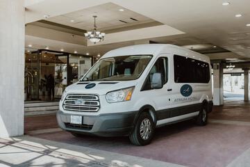 Cruise terminal shuttle