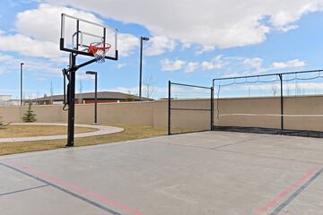 Basketball court