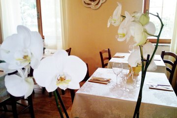 Couples dining