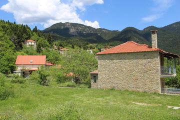 Photo 50