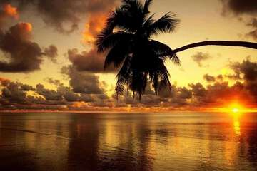 Beach
