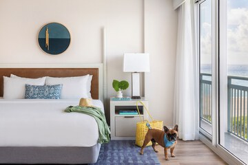 Pet-friendly