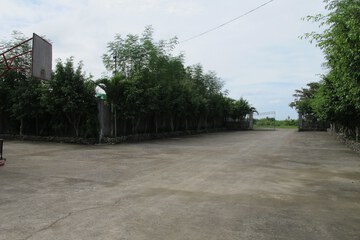 Basketball court