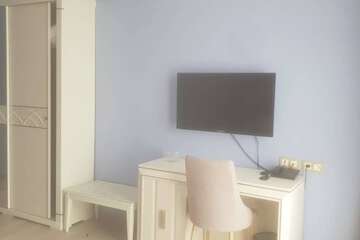Television