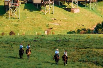 Horseback riding