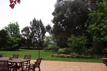 Terrace or Patio