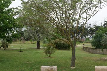 Photo 53