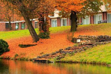 Lake