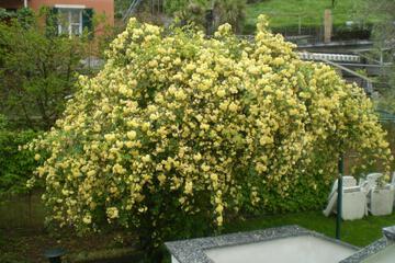 Photo 37