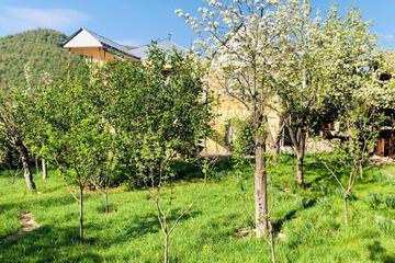 Photo 44