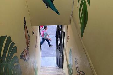 Photo 22