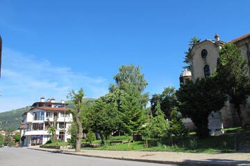 Photo 51