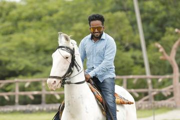 Horseback riding