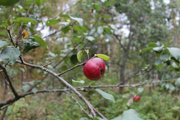 Photo 27