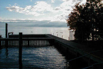Dock