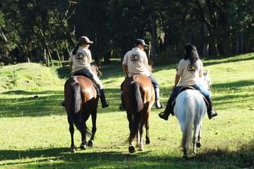 Horseback riding