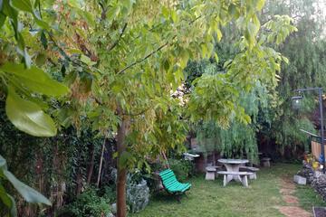 Photo 13