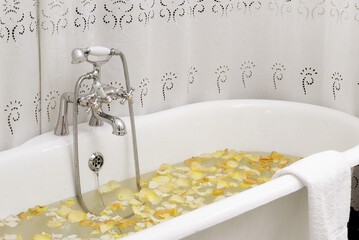 Deep soaking bathtub