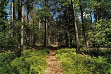 Hiking