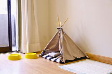 Pet-friendly amenities