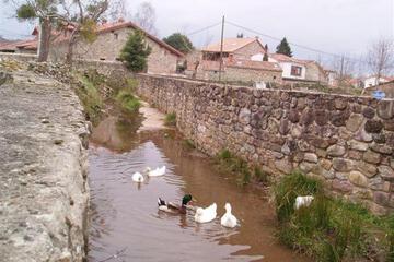 Photo 48