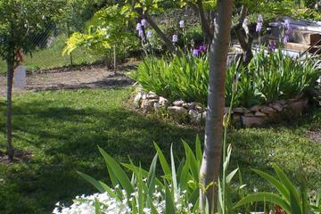 Photo 34