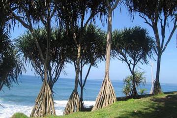 Photo 40