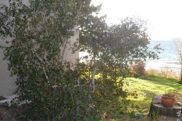 Photo 63