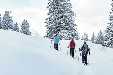 Snowshoeing
