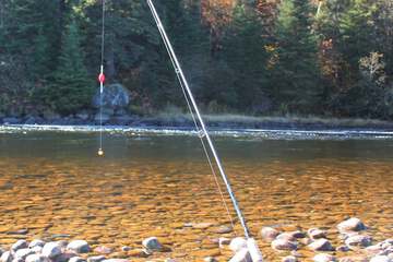 Fishing