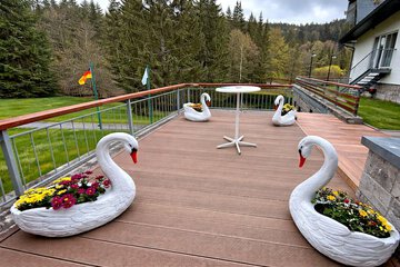 Rooftop terrace