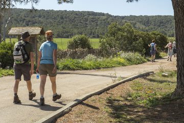 Hiking