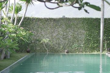Photo 39