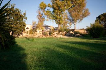 Photo 39