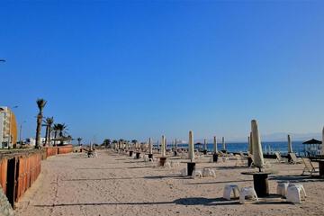 Photo 44