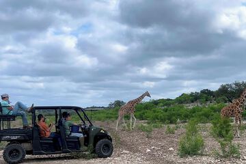 Game viewing