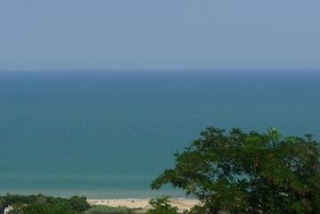 Beach or Ocean View