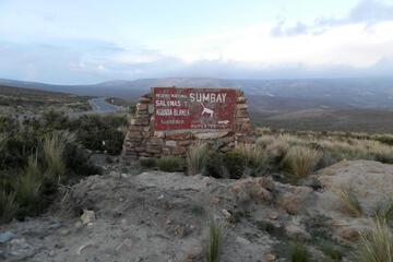 Photo 49