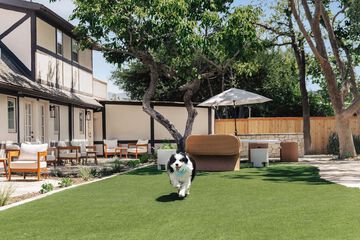 Pet-friendly amenities