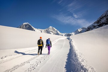 Snowshoeing