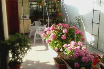 Photo 32