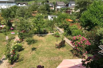 Photo 47