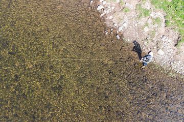 Fishing
