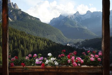 View from room