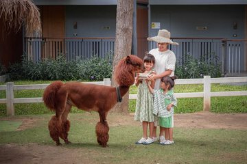 Children's activities