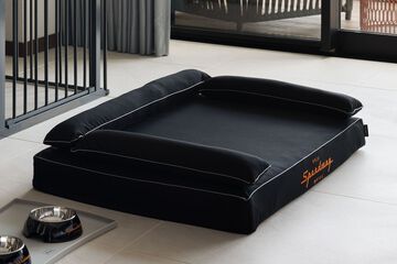 Pet-friendly amenities