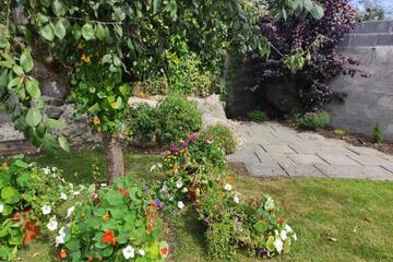 Photo 47