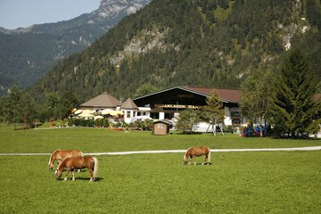 Children's activities
