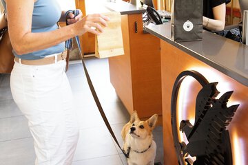 Pet-friendly